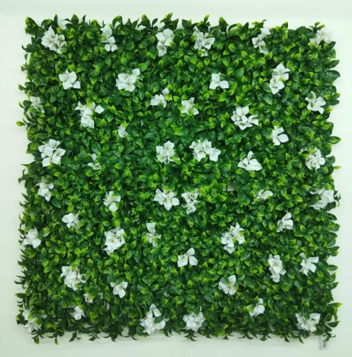 WhatsApp Image 2025-05-14 at 12.56.49_5a4d08e5