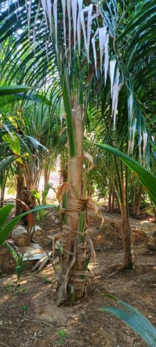 WhatsApp Image 2025-05-15 at 16.58.36_84ae2584