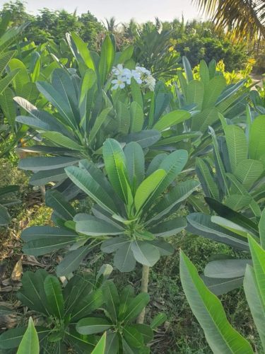 WhatsApp Image 2025-05-15 at 16.58.40_68fe190c