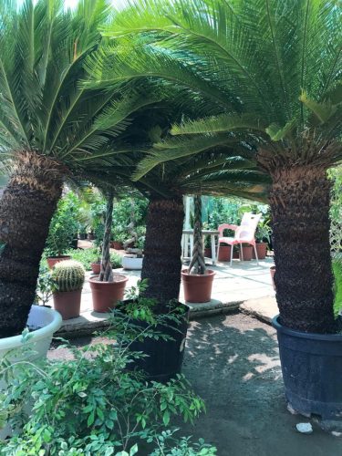 WhatsApp Image 2025-05-15 at 16.58.43_032d8d0b