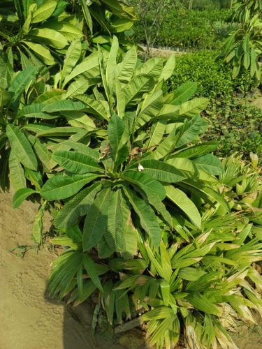 WhatsApp Image 2025-05-15 at 16.58.45_793cc2fa